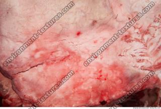 Photo Textures of RAW Pork Meat